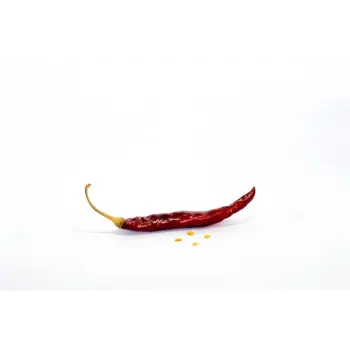 Natural Dry Red Chilli